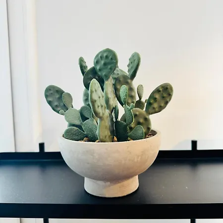 Apartment Bernstein - Funke